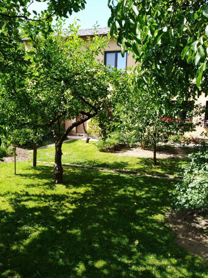 Ubytovani Bludov U Lazni Exterior foto